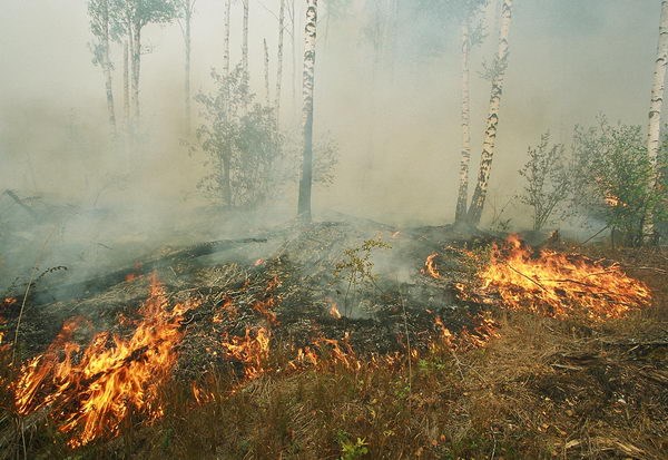 период лесных пожаров